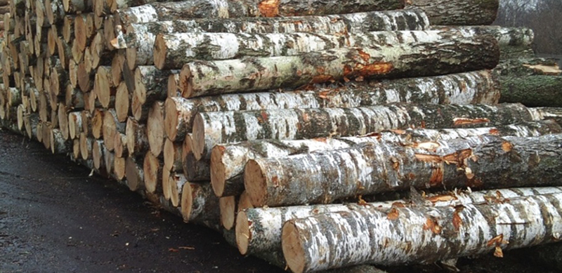 Planuojamas AB Latvijas Finieris padalinio lietuvoje UAB Likmerė Controlled wood sertifikavimo auditas