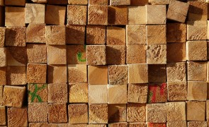 FAQ sulla European Timber Regulation (EUTR)