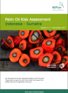 Palm Oil Risk Assessment - Indonesia Sumatra